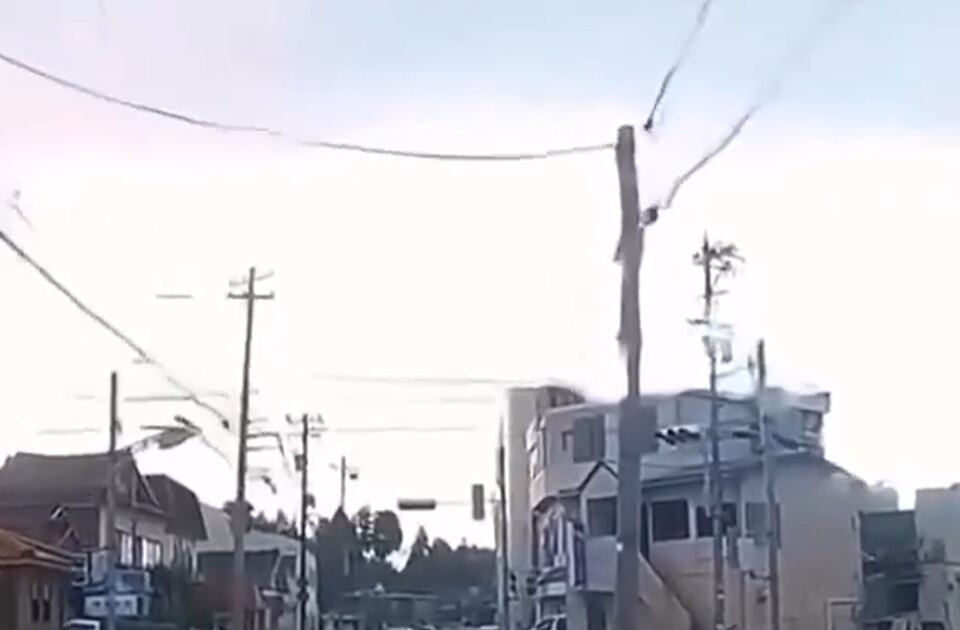 japón