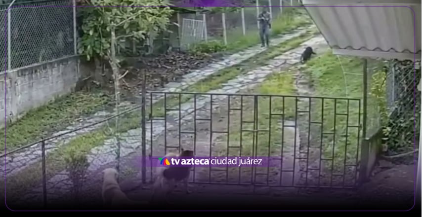 VIDEO FUERTE: Hombre asesina a balazos un perrito; imágenes causan indignación