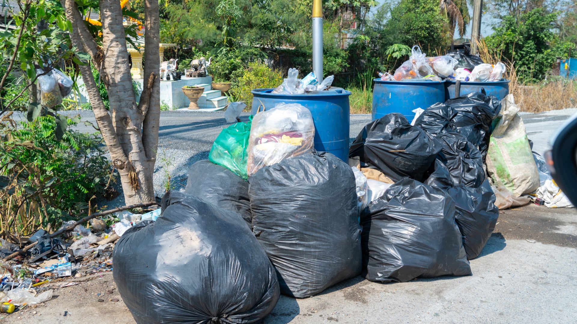 Basura separada Ciudad Juárez.png