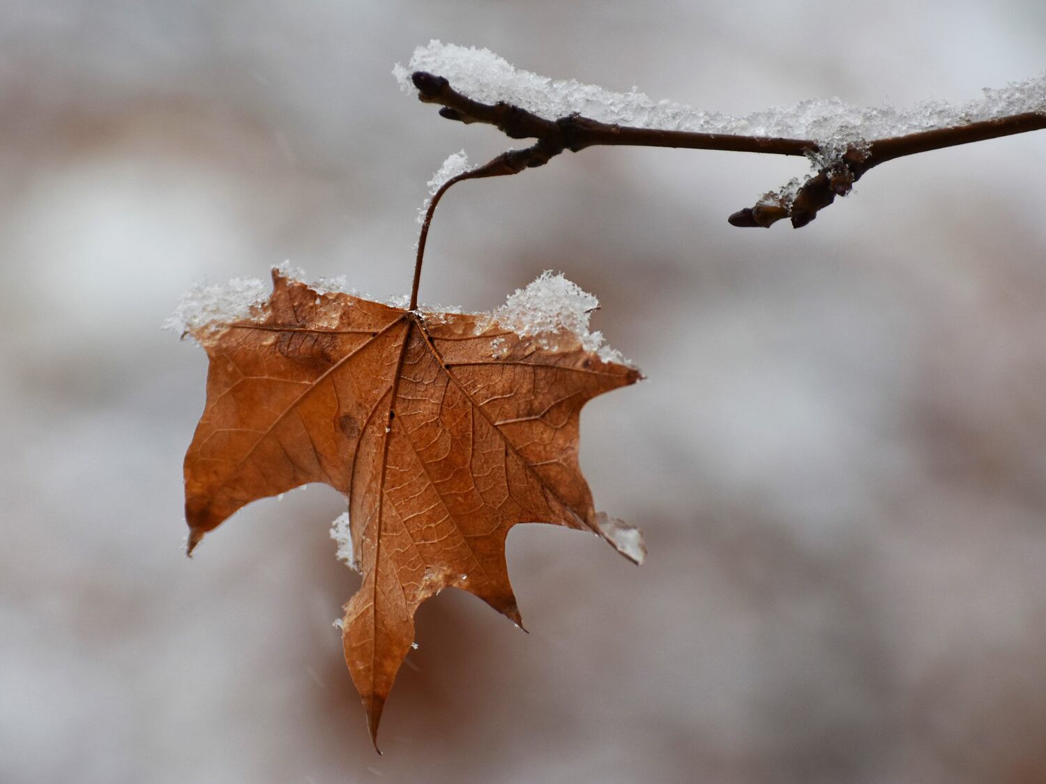 invierno