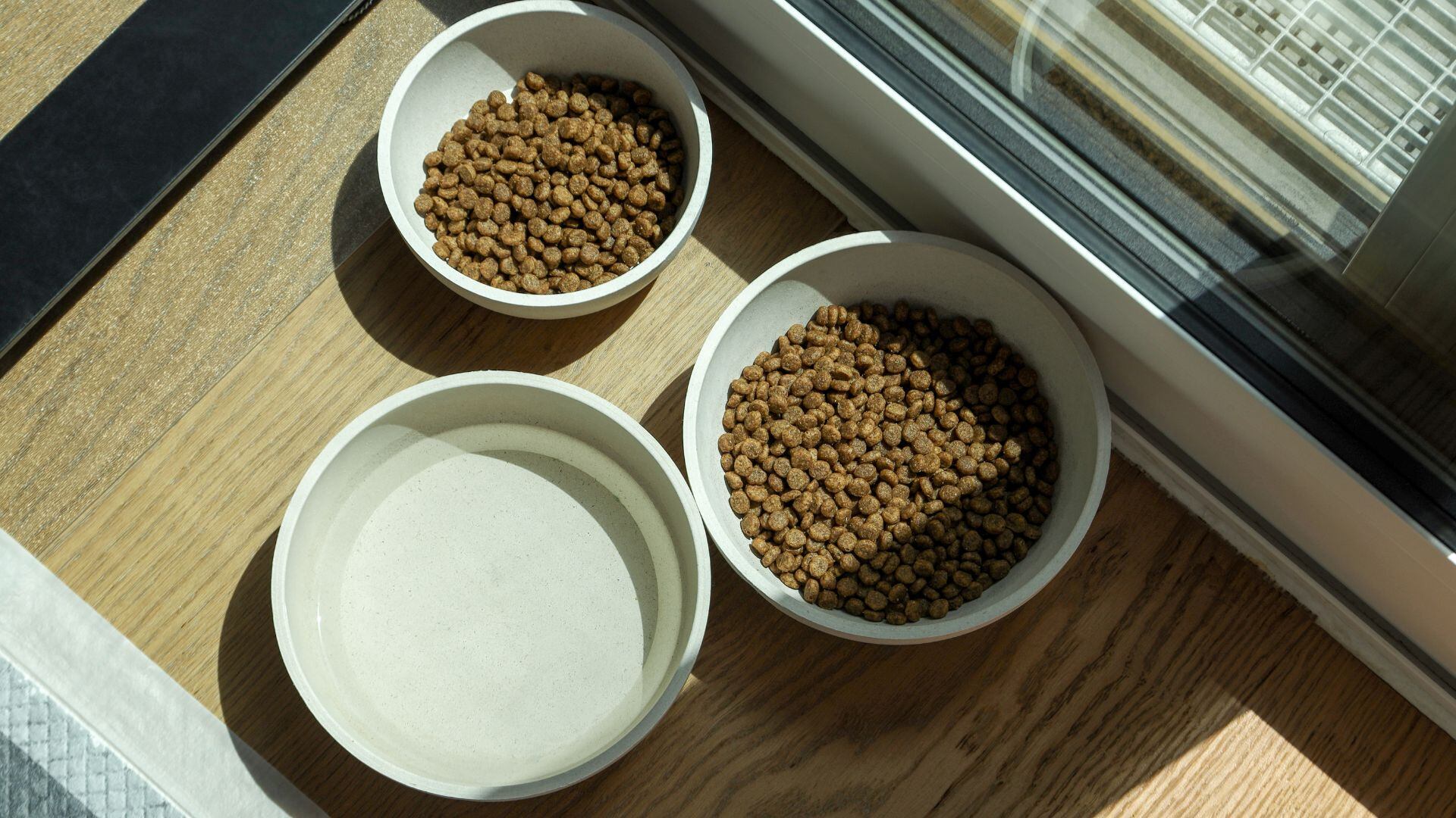 ¡Alerta para dueños de mascotas! Esta es la marca de alimento para perros y gatos que retiraron por Salmonella y listeria
